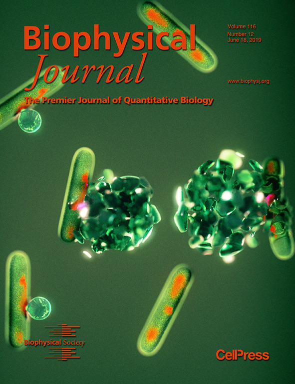 Cover of Biophysical Journal, Vol. 116, No. 12 · June 2019